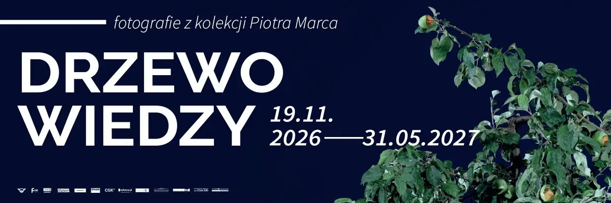 Drzewo wiedzy – fotografie z kolekcji Piotra Marca